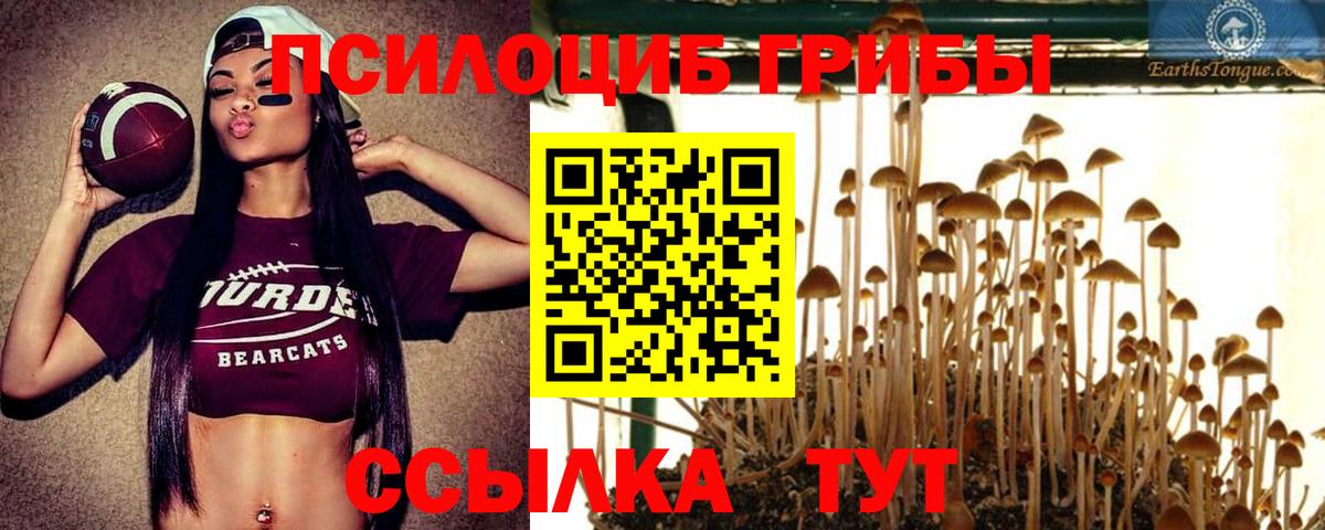 Соликамск  Галлюциногенные грибы Cubensis  хочу   Псилоцибиновые грибы MAGIC MUSHROOMS  Вход с VPN 